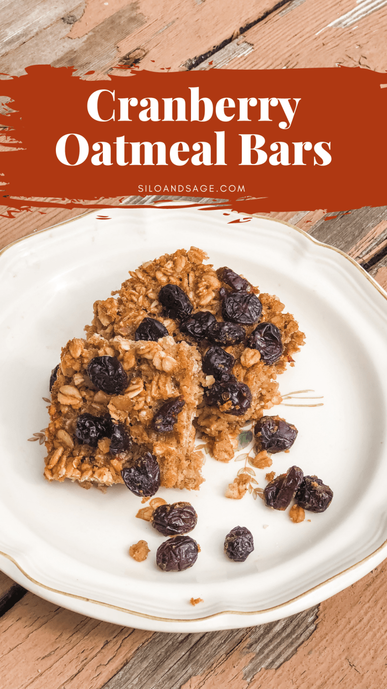 Cranberry Oatmeal Bars Recipe