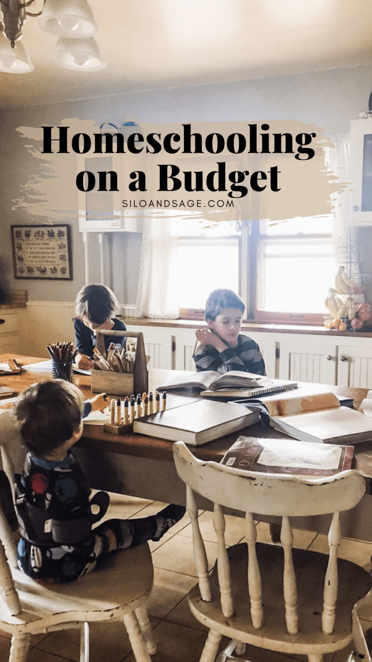 How to Homeschool on a Budget (or even free!)