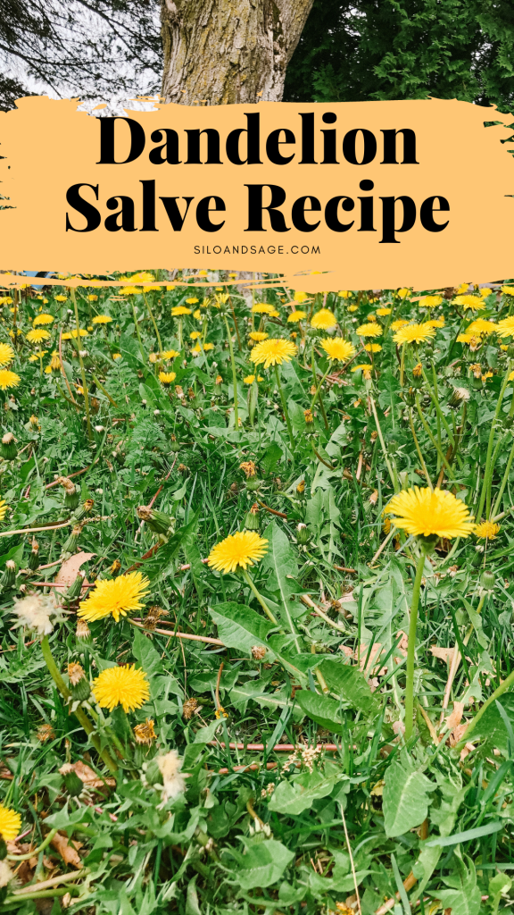 dandelion salve recipe