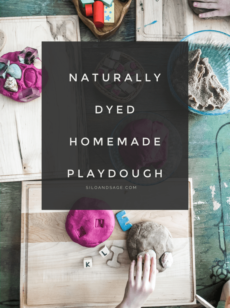 Naturally Dyed Homemade Playdough