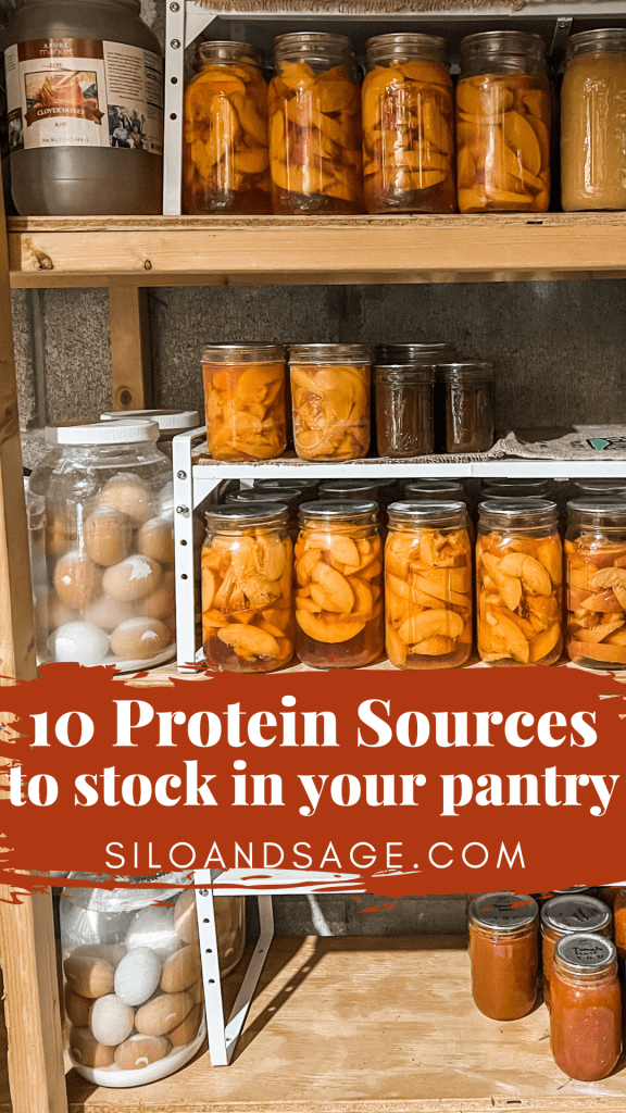 10 Protein Sources for Food Storage building a prepared pantry Silo